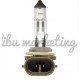 H3 BULB