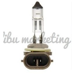 H3 BULB