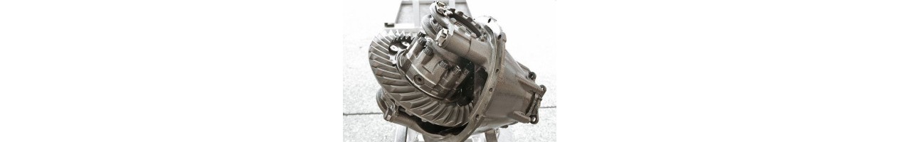 DIFFERENTIAL (GUTS)